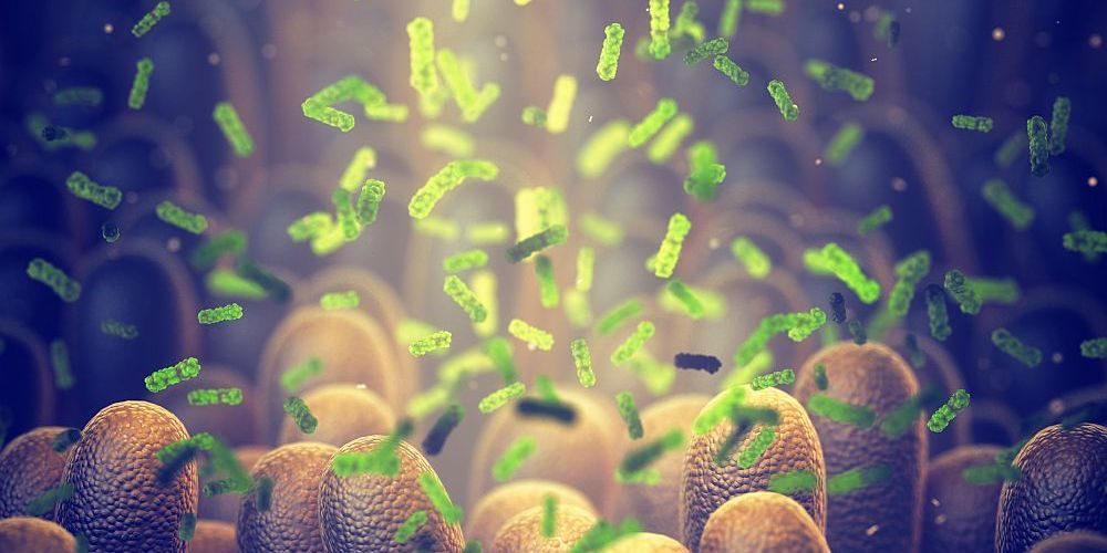 © nobeastsofierce/Shutterstock.com