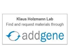 Klaus Holzmann Lab Materials addgene