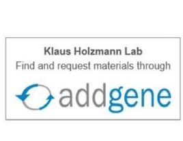 Klaus Holzmann Lab Materials addgene